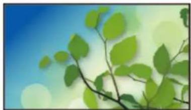 PANASONIC Viera TX-49DSR500 - How to use - 4