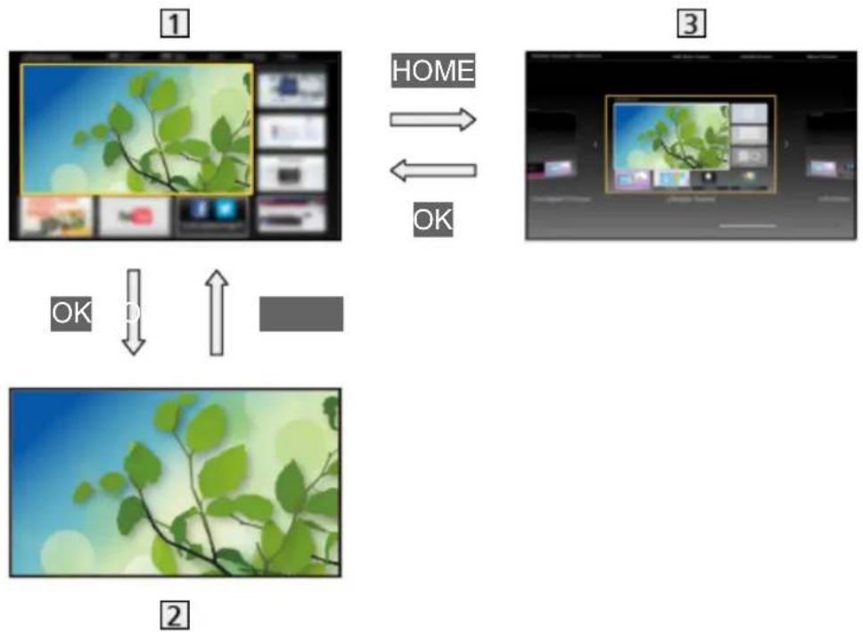 PANASONIC Viera TX-49DS500ES - Information - 1