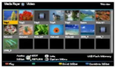 PANASONIC Viera TX-49DS500ES - Information - 1