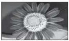 PANASONIC Viera TX-32LZD80 - ■Other useful functions - 10
