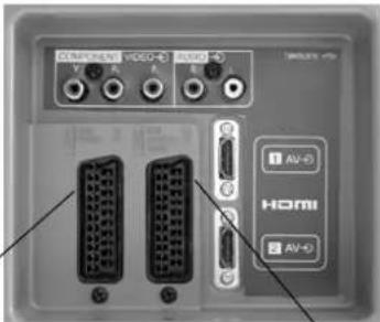 PANASONIC Viera TX-32LXD60EB - RearsocketsSideconnections - 1