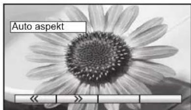 PANASONIC Viera TX-32LX63F - Hinweise: - 3
