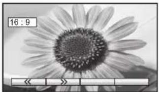 PANASONIC Viera TX-32LX60L - Aspect Controls - 1