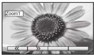 PANASONIC Viera TX-32LX60L - Aspect Controls - 4