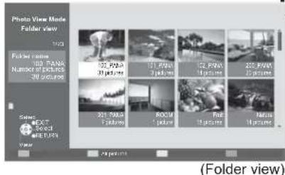 PANASONIC Viera TX-L32X10B - Photo View - 4