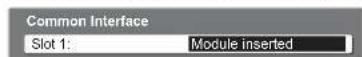 PANASONIC Viera TX-L32X10B - ② Access "Common Interface" - 1