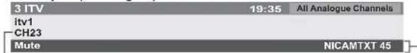 PANASONIC Viera TX-L32X10B - Display Information banner - 4
