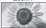 PANASONIC Viera TX-L32X10B - If you would like to change the aspect ratio manually ■ - 11