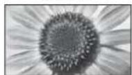 PANASONIC Viera TX-L22X20B - If you would like to change the aspect ratio manually ■ - 11