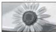 PANASONIC Viera TX-L22X20B - If you would like to change the aspect ratio manually ■ - 5