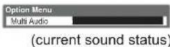 PANASONIC Viera TX-L22X20B - Sound Settings - 2