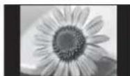 PANASONIC Viera TX-L22X20B - If you would like to change the aspect ratio manually ■ - 8