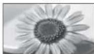 PANASONIC Viera TX-L22X20B - If you would like to change the aspect ratio manually ■ - 6