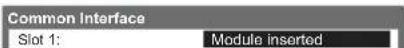 PANASONIC Viera TX-L22X20B - Insert the CI module (optional) - 8