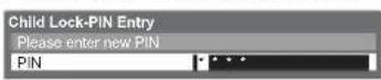 PANASONIC Viera TX-L22X20B - ① Enter the PIN number (4 digits) - 1
