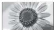 PANASONIC Viera TX-L22X20B - If you would like to change the aspect ratio manually ■ - 9