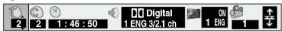 PANASONIC DMR-E20 - Icons for disc information - 1