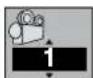 PANASONIC DMR-E20 - Icons for disc information - 13