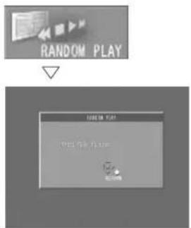 RANDOM PLAY PLAY THE PLAY