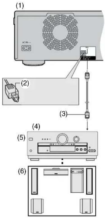 (1) (2) (3) (4) (5) (6)