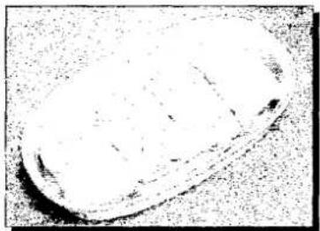 PANASONIC NN-S517F - Fish - 1
