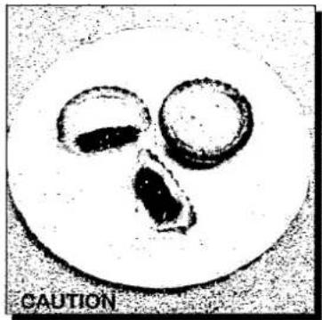 PANASONIC NN-S517F - MINCE PIES - CAUTION - 1