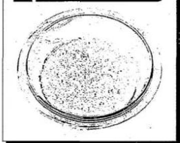 PANASONIC NN-S517F - Sensor Cooking Programs must only be used for the foods described below. - 2