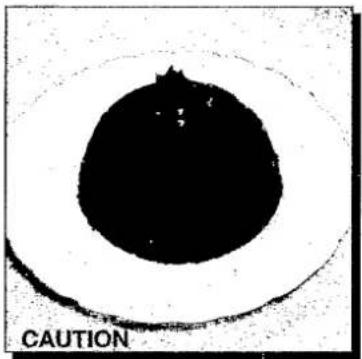 PANASONIC NN-S517F - CHRISTMAS PUDDINGS - CAUTION - 1