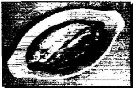PANASONIC NN-K403 - LIQUID - 1