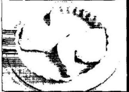 PANASONIC NN-K403 - Auto Programs - 4