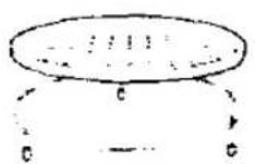 PANASONIC NN-K805 - Parts of Your Oven - 2