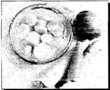 PANASONIC NN-K358 - Vegetables and Vegetarian - 3