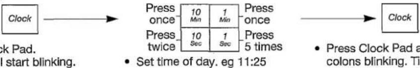 PANASONIC NN-K358 - CLOCK PAD: - 1