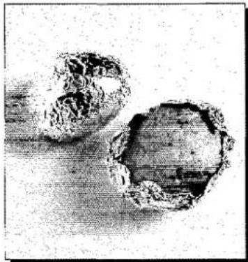 PANASONIC NN-K358 - Jacket Potatoes - 2