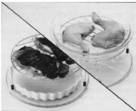 PANASONIC NN-GT462M - Keine Fleischstücke mit Grill oder Kombination zubereiten - 1