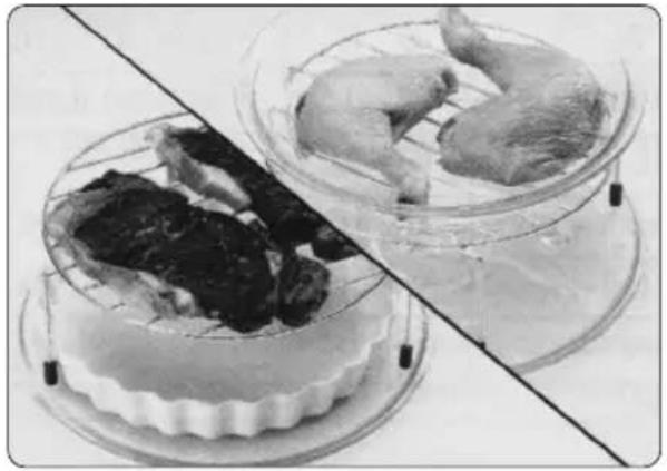 PANASONIC NN-GT460M - Kleine Fleischstücke mit Grill oder Kombination zubereiten - 1