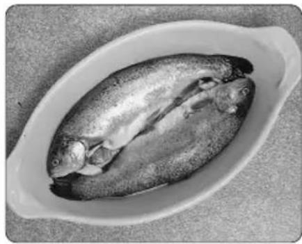 PANASONIC NN-GT460M - Wann ist der Fisch gar? - 1