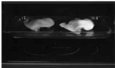 PANASONIC NN-CF853W - Combination 3. Grill and microwave - 1