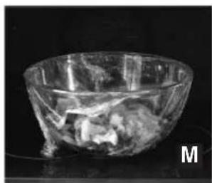 PANASONIC NN-CF853W - Frozen vegetables 200 g - 800 g - 1