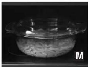 PANASONIC NN-CF853W - Pasta 100 g - 450 g - 1