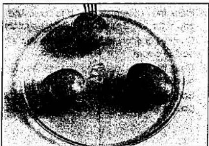 PANASONIC NN-A773 - Before Cooking - 1