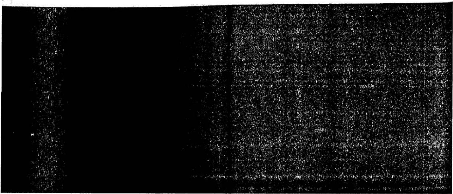 PANASONIC NN-A750 - GUIDELINES - 1