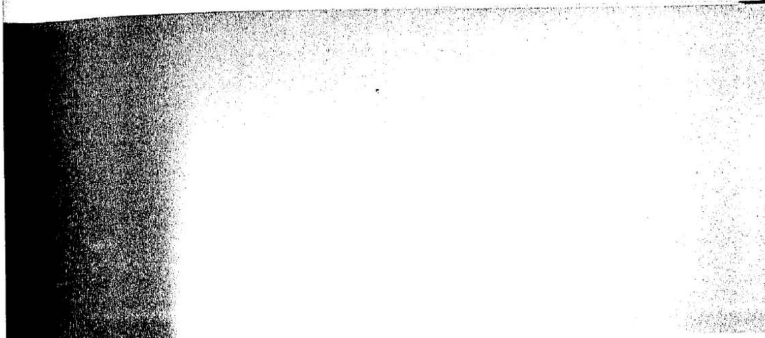 PANASONIC NN-A750 - GUIDELINES - 1