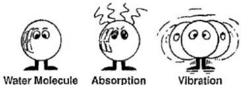 Wassermolekül Absorption Vibration