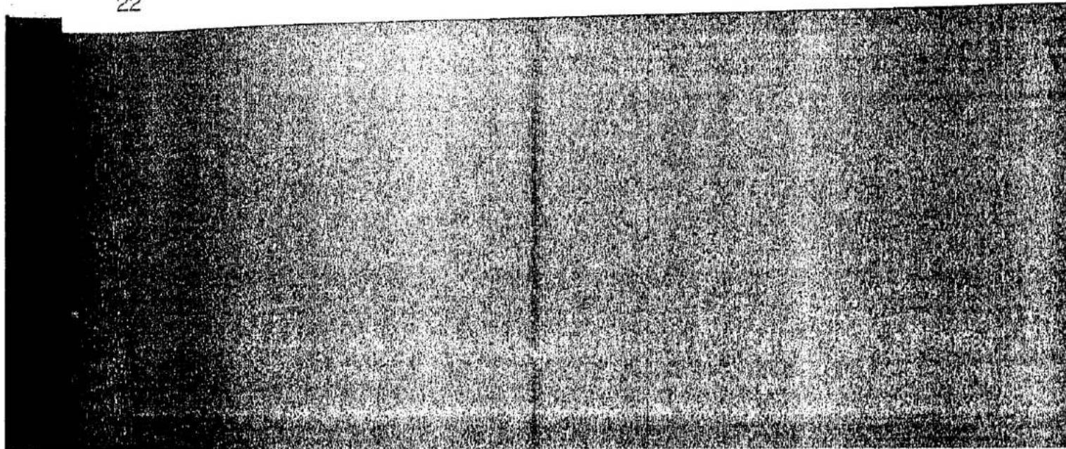 Schwarz-weiße abstrakte Textur ohne erkennbaren Text, Symbole oder strukturierte Elemente