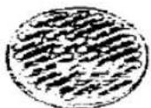 PANASONIC NN-877E - Parts of Your Oven - 5