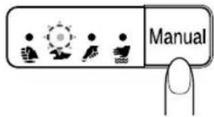 Manual