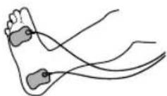 PANASONIC EW6011 - Taille - 3