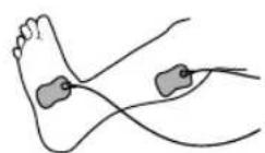 PANASONIC EW6011 - Taille - 2