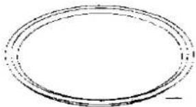 PANASONIC NN-3959 - NOTES ON AUTO PROGRAM COOKING: - 2